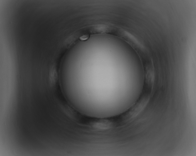 X0000101670459200807101404