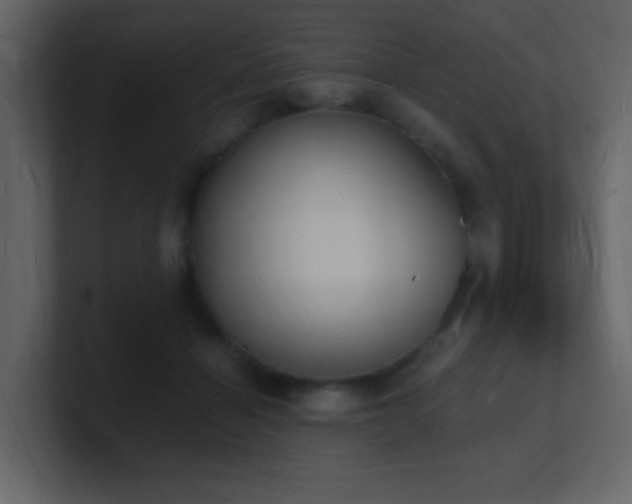 X0000101670460200807101404