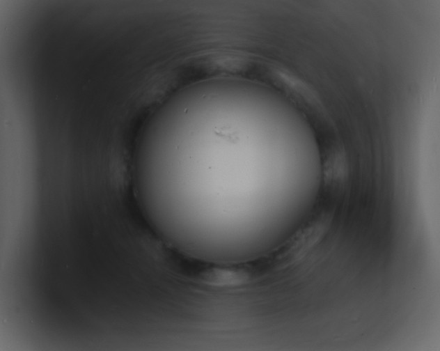 X0000101670464200807101404