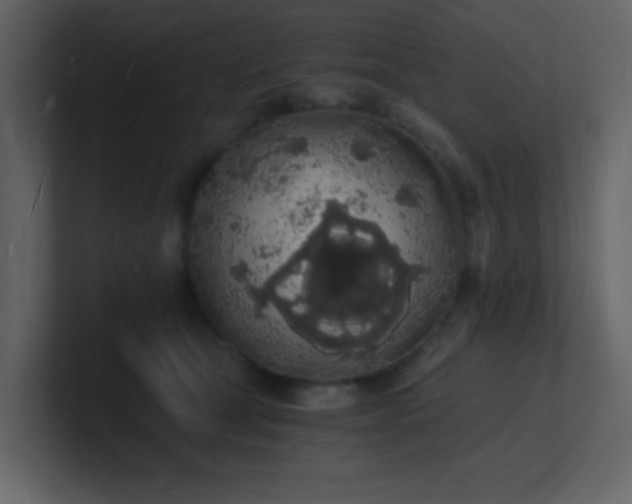 X0000101670465200807101404