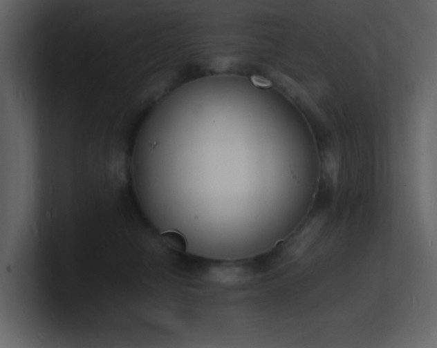 X0000101670470200807101404