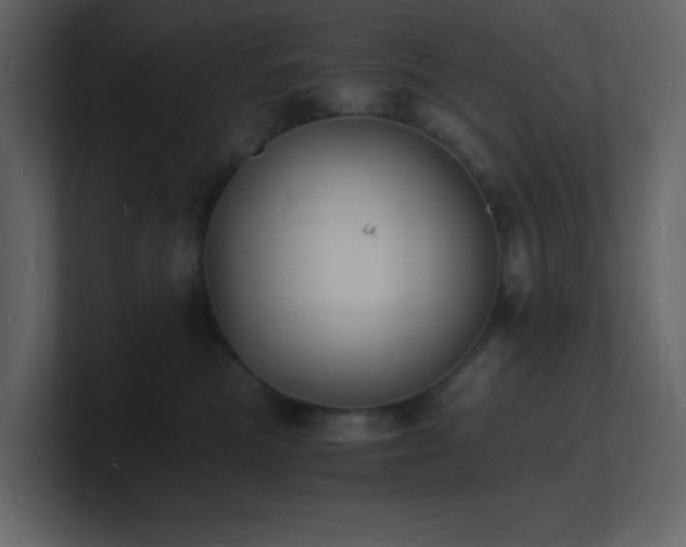 X0000101670473200807101404