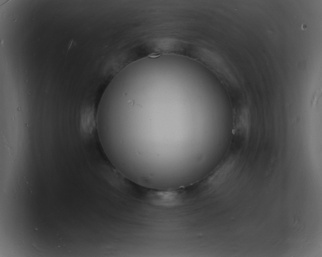 X0000101670478200807101404