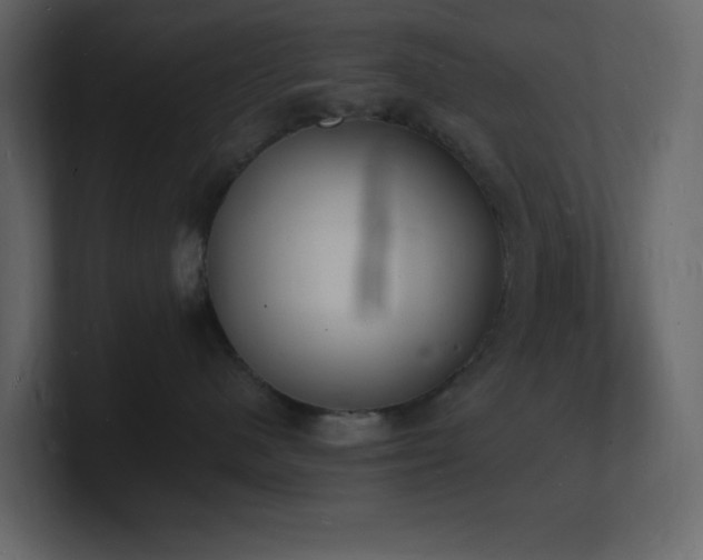 X0000101670480200807101404