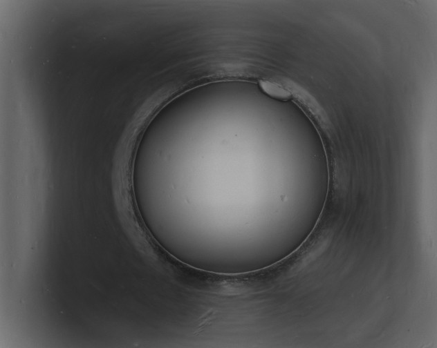 X0000101670481200807101403