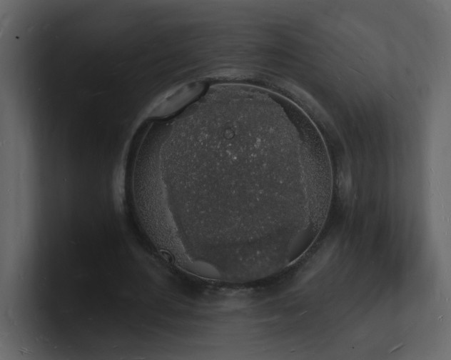 X0000101670484200807101403
