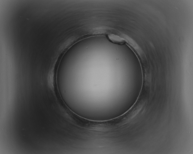 X0000101670485200807101403