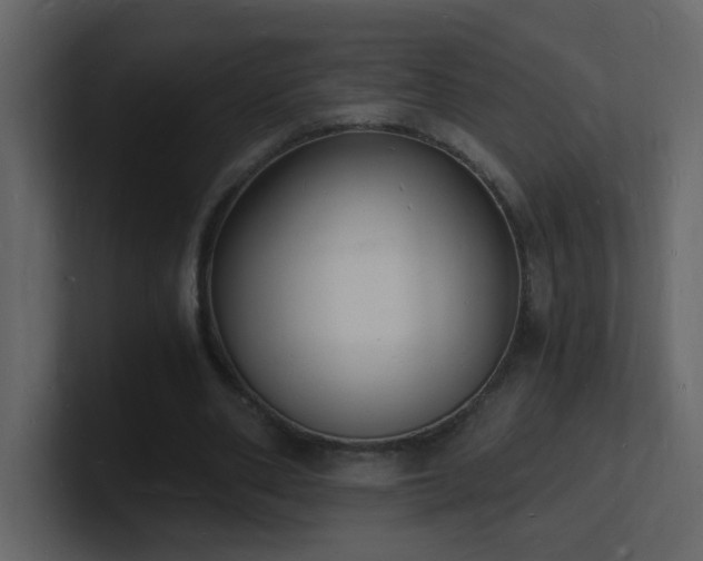 X0000101670486200807101403