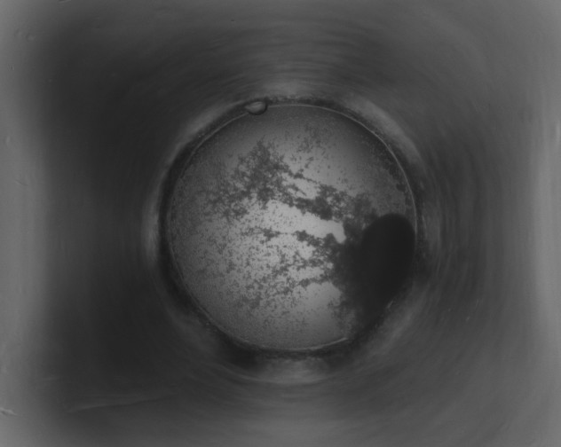 X0000101670488200807101403