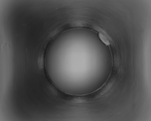 X0000101670489200807101403
