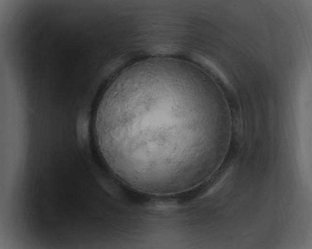 X0000101670491200807101403