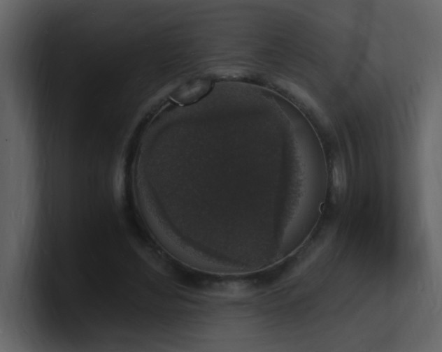 X0000101670492200807101403
