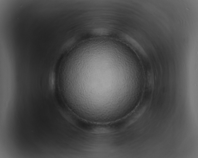 X0000101670494200807101403