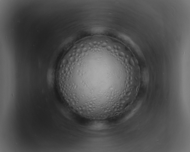 X0000101670495200807101403