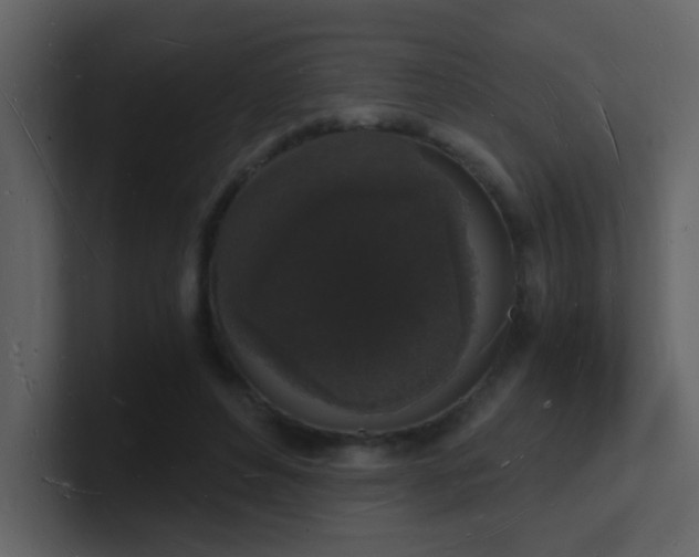 X0000101670496200807101403