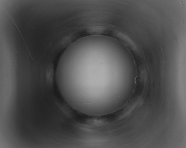 X0000101670498200807101403