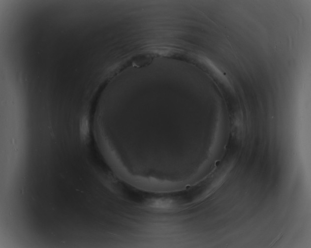 X0000101670500200807101403