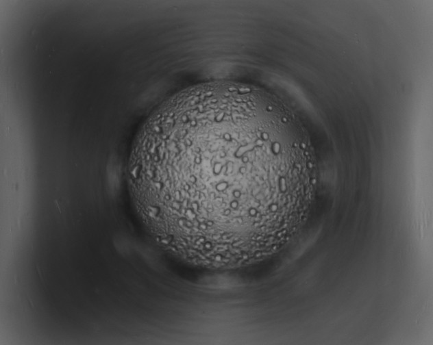 X0000101670503200807101403
