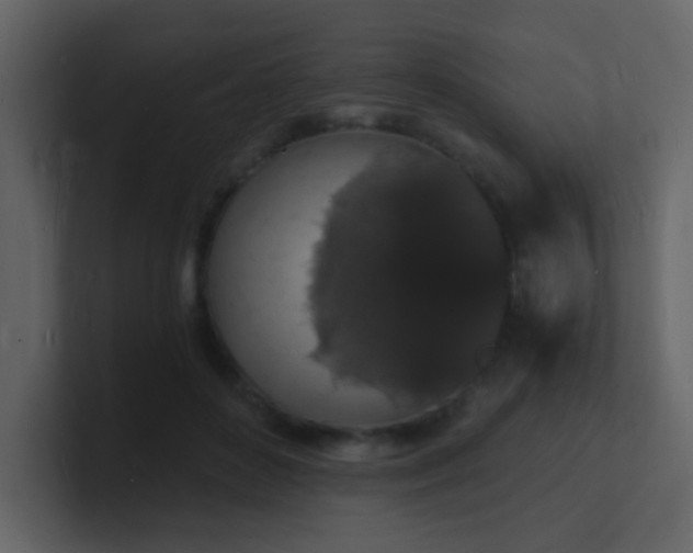 X0000101670504200807101403