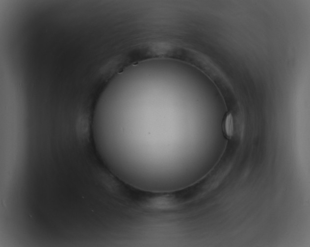 X0000101670505200807101403