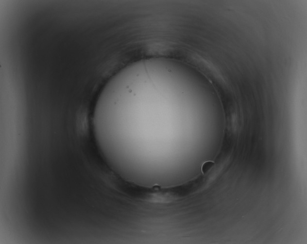 X0000101670508200807101403