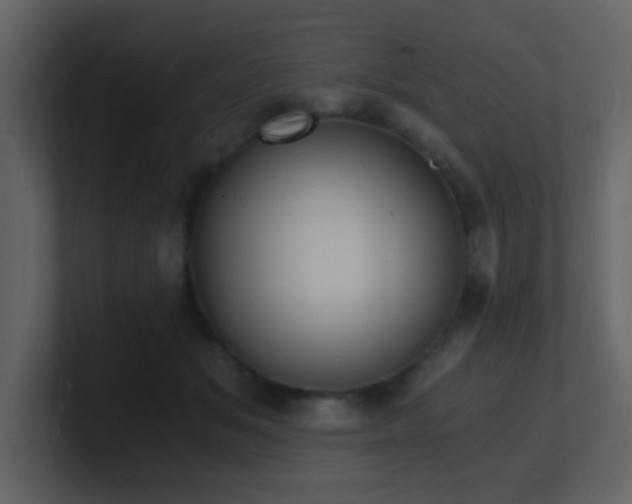 X0000101670509200807101403