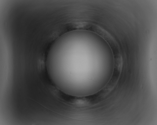 X0000101670510200807101403