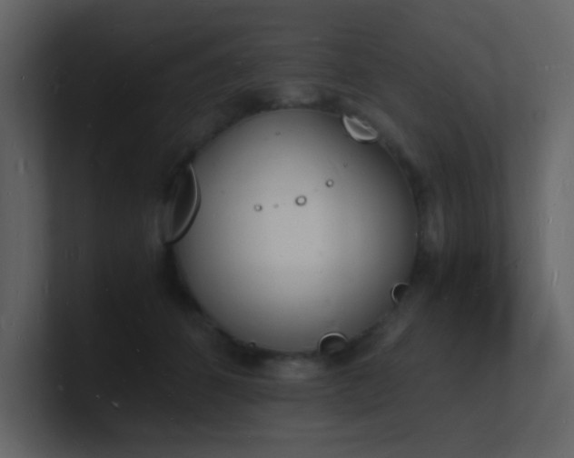 X0000101670512200807101403