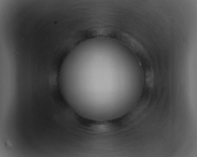 X0000101670514200807101403