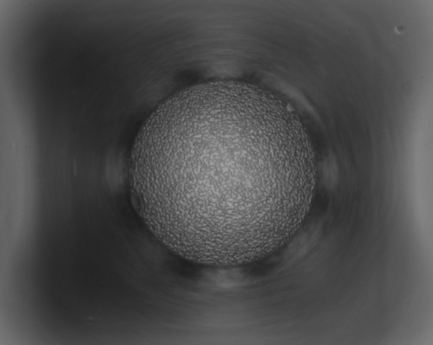 X0000101670517200807101403