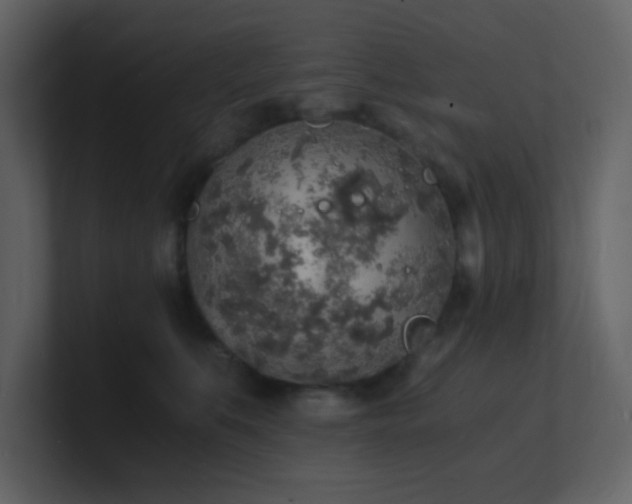 X0000101670519200807101403