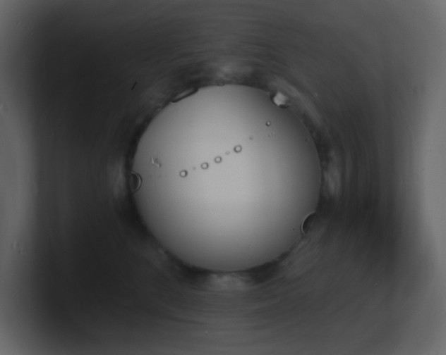 X0000101670520200807101403