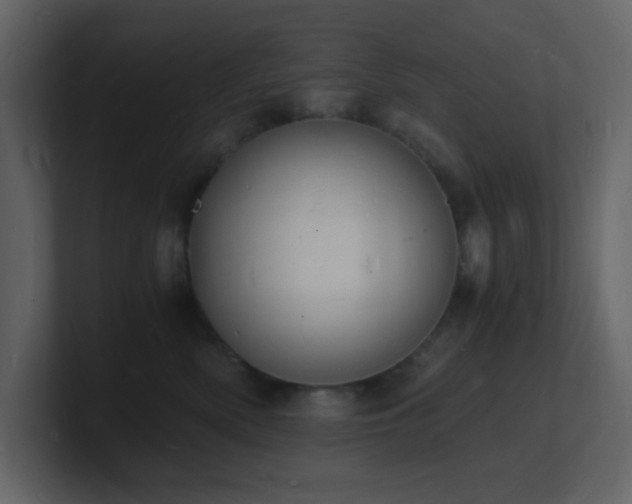 X0000101670522200807101403