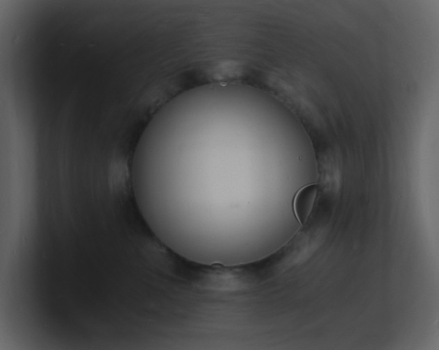 X0000101670523200807101403