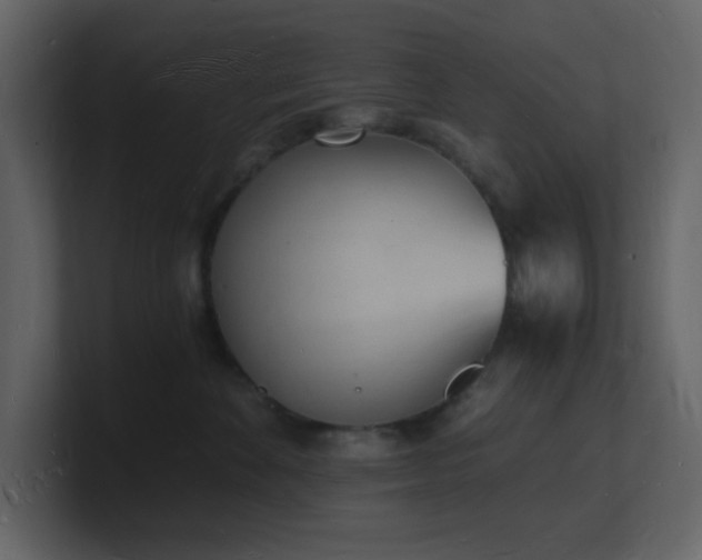 X0000101670524200807101403
