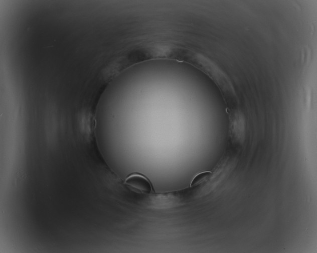 X0000101670525200807101403