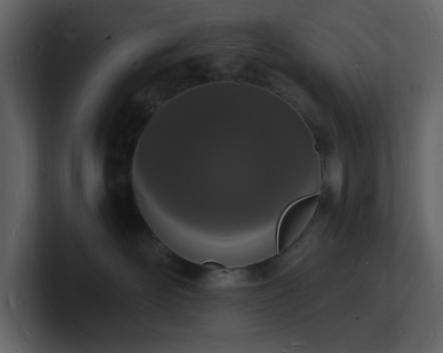 X0000101670526200807101403