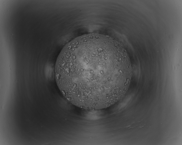 X0000101670527200807101403