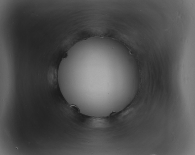 X0000101670528200807101403