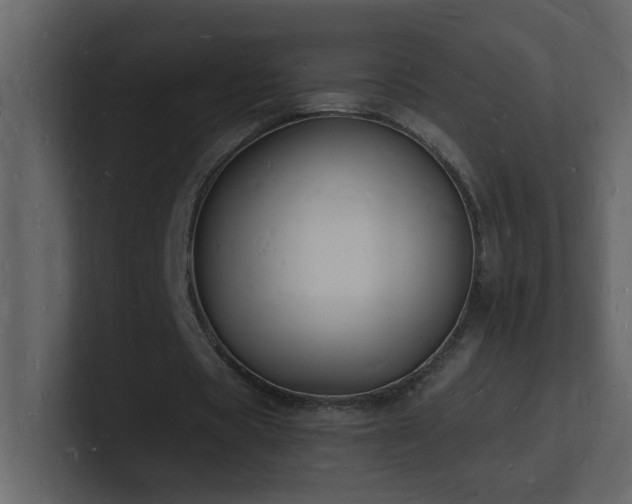 X0000101670529200807101402