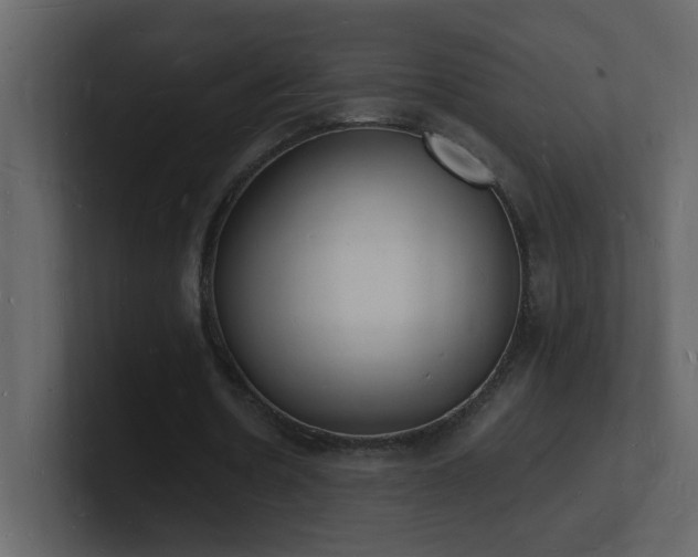 X0000101670530200807101402