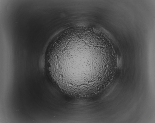 X0000101670531200807101402