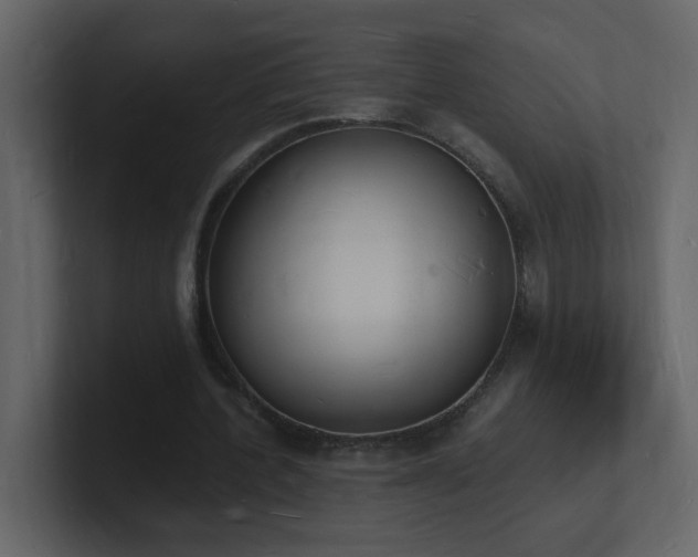 X0000101670532200807101402