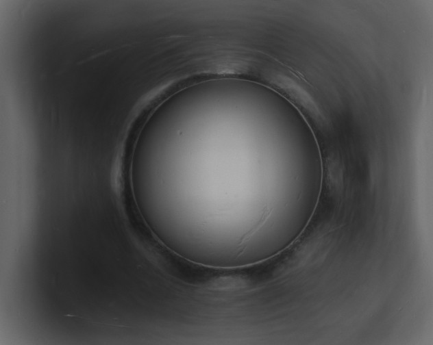 X0000101670536200807101402