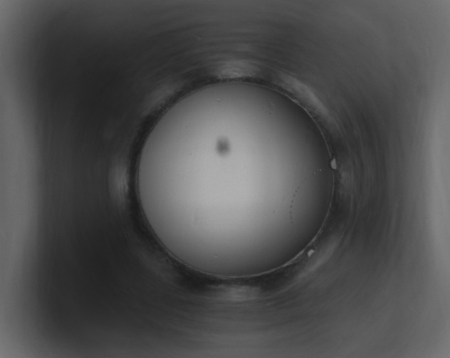 X0000101670539200807101402