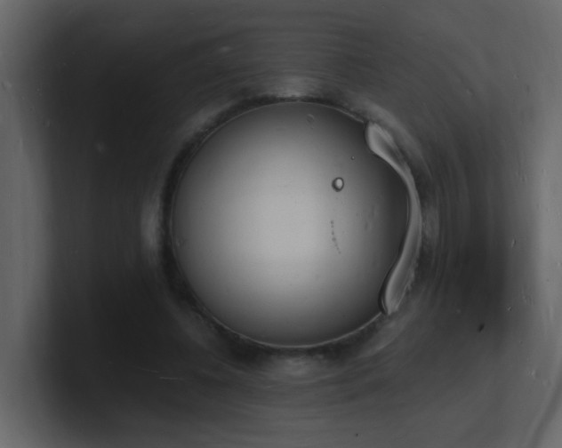 X0000101670540200807101402
