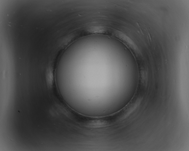 X0000101670541200807101402