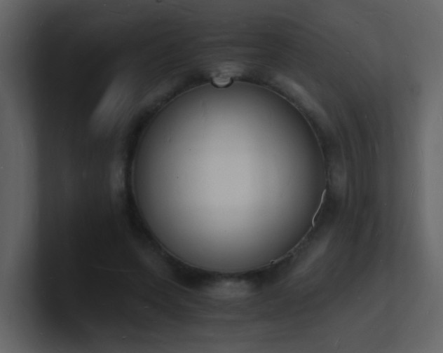 X0000101670543200807101402
