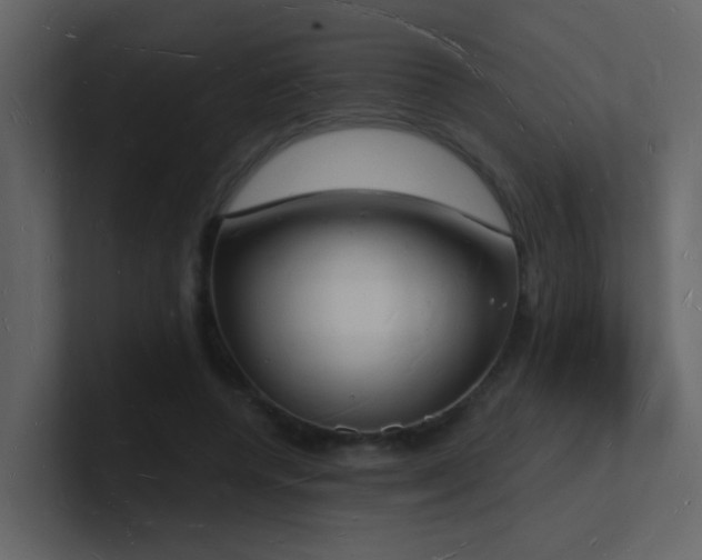 X0000101670544200807101402
