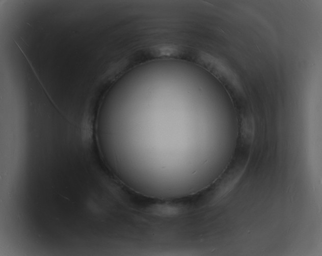 X0000101670545200807101402